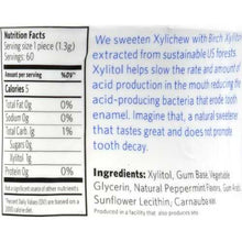 将图片加载到图库查看器,XyliChew Chewing Gum - Sugar Free Peppermint - 60 Piece Jar - Case of 4
