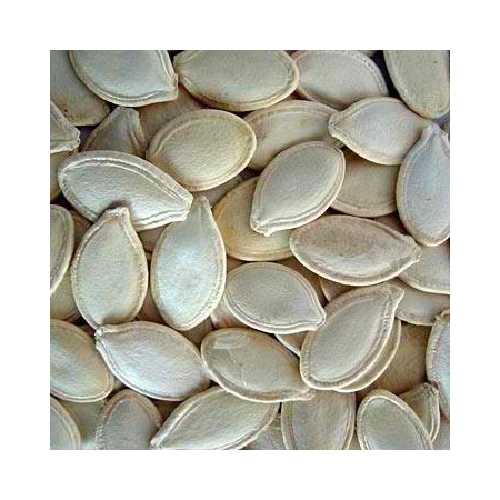 Seeds Pumpkin Seeds, Usa (1x27.5LB )