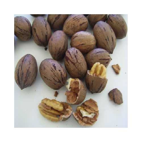 Nuts Shelled Pecans Usa (1x5LB )