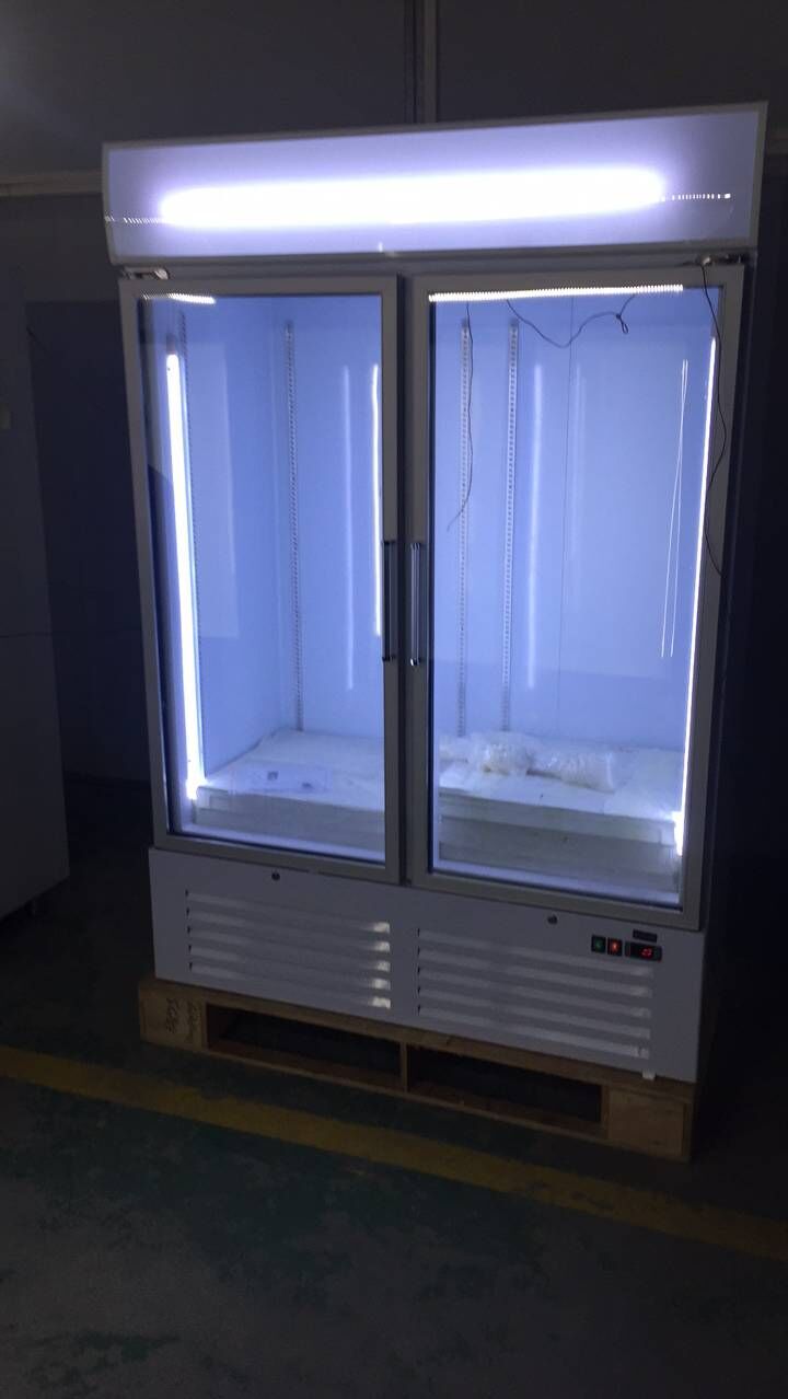 -18 to -22 Degree OEM 1 & 2 Glass Commercial Swing Door Freezer Refrigerator For Shop and Kitchen Restaurant