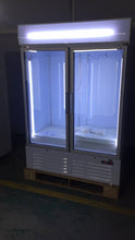 Load image into Gallery viewer, -18 to -22 Degree OEM 1 & 2 Glass Commercial Swing Door Freezer Refrigerator For Shop and Kitchen Restaurant