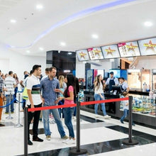 将图片加载到图库查看器,Black Stanchion Posts Queue Poles. 6 Piece Set