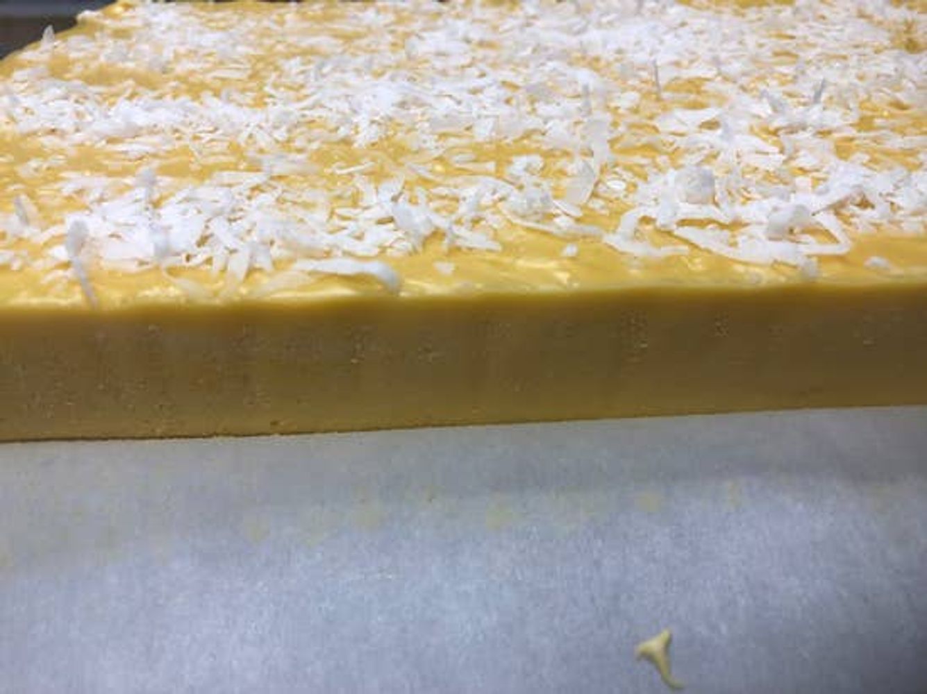 Mango Coconut Fudge