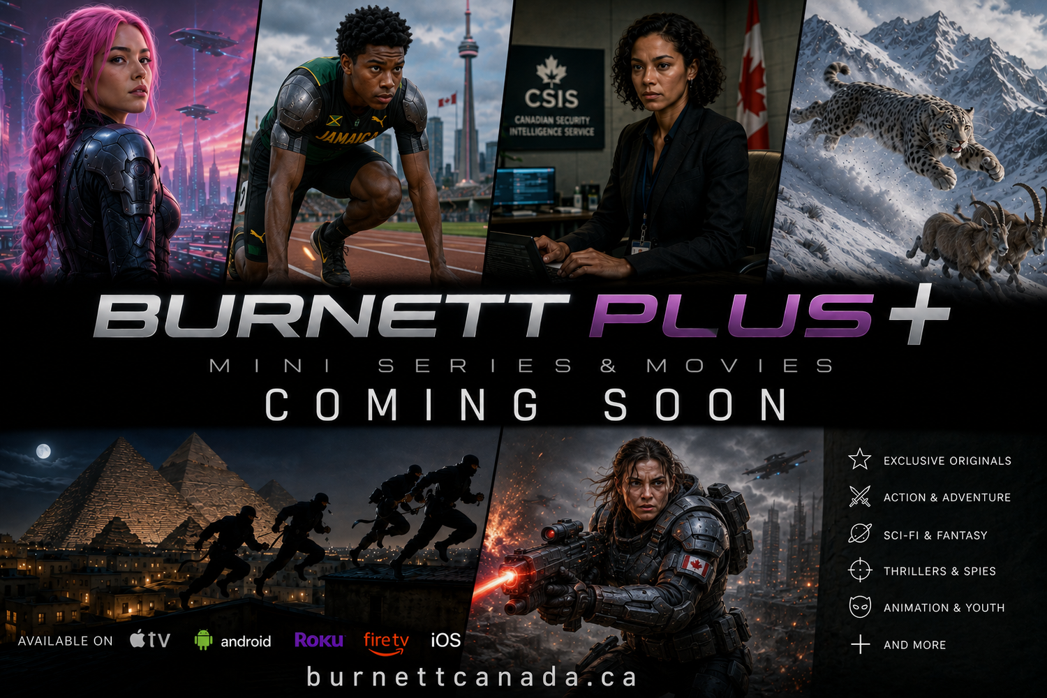 Burnett Plus
