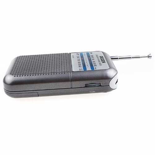 Degen DE333 Portable Mini Handle FM/AM Radio Receiver Two Bands Pointer Radio