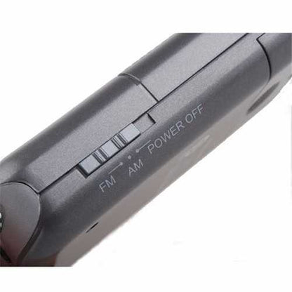Degen DE333 Portable Mini Handle FM/AM Radio Receiver Two Bands Pointer Radio