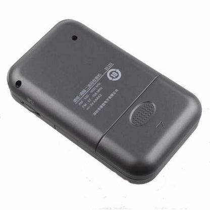 Degen DE333 Portable Mini Handle FM/AM Radio Receiver Two Bands Pointer Radio