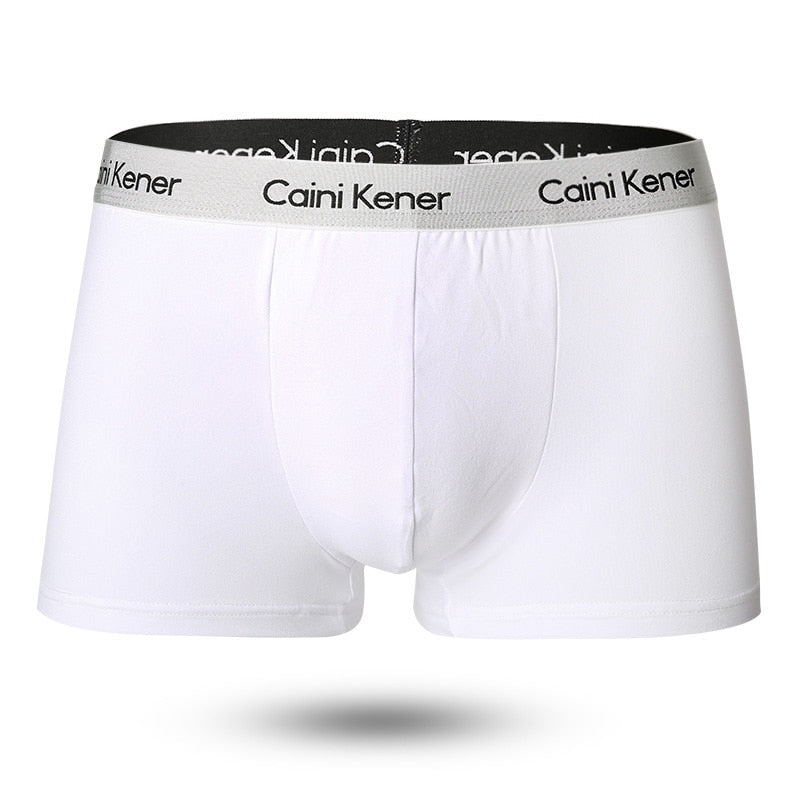 4Pcs Men Boxers Man Short Breathable Flexible Comfortable Shorts Boxers Lovely Solid  Panties