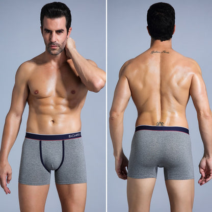 4pcs Boxer Shorts Underpants man Men's Panties Men Boxer Underwear Cotton for Male Couple Sexy Set Calecon Large Size Lot Soft