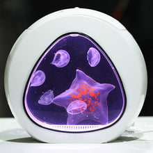 Load image into Gallery viewer, Aquariums  Mini fish tank Special tank for raising jellyfish Living scape tank Desktop fish tank Acrylic Aquatic Pet Supplies
