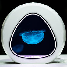 Load image into Gallery viewer, Aquariums  Mini fish tank Special tank for raising jellyfish Living scape tank Desktop fish tank Acrylic Aquatic Pet Supplies
