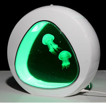 Load image into Gallery viewer, Aquariums  Mini fish tank Special tank for raising jellyfish Living scape tank Desktop fish tank Acrylic Aquatic Pet Supplies
