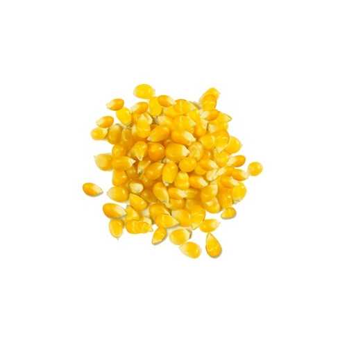 Giusto's Whole Yellow Corn (1x25LB)