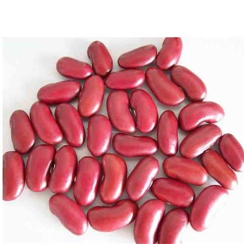 Beans Dark Red Kidney Bean (1x25LB)