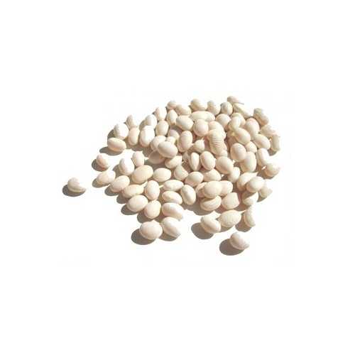 Beans Sml Whte (Navy) Bean (1x25LB )