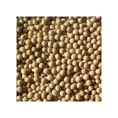 Beans Soybeans (1x25LB )