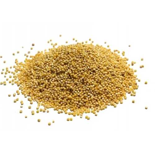Grains Hulled Millet (1x25LB)