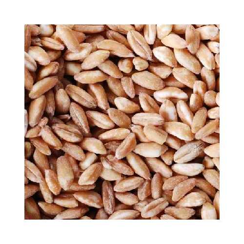 Vita-Spelt Kernels (1x25LB )