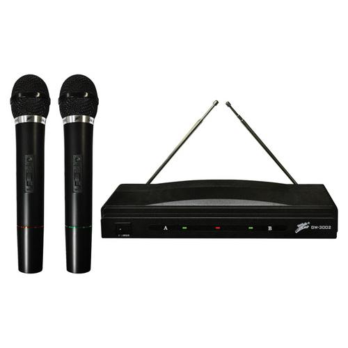 Studio Z Dual Microphone System with Wireless Receiver (GW3002)