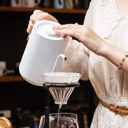 Electric Kettle Coffee Maker 600ml Gooseneck Kettle Temperature Control Hand-punched Moka Pot