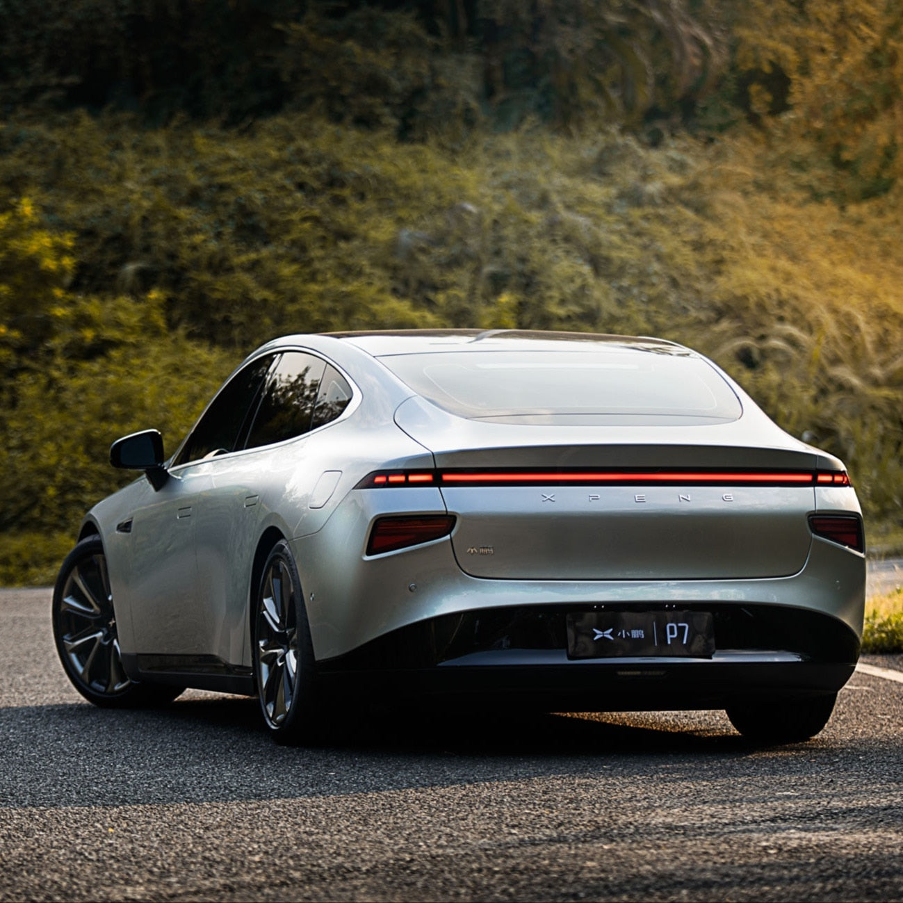Electric Vehicle Xiaopeng-P7