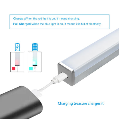 Plutus-Quinn LED Night Light Motion Sensor Wireless USB Rechargeable 20 30 40 50cm Night lamp For Kitchen Cabinet Wardrobe Lamp