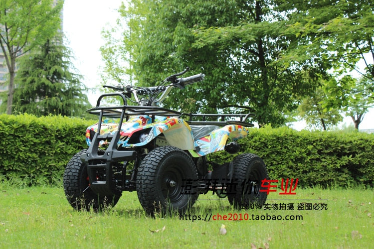 New Small Beach Off-road Non-slip Four-wheel Brushless Motor Double Disc Brake System Electric Go Karts