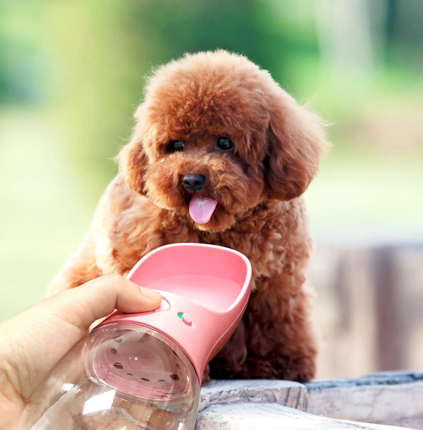 Portable Pet Dog Water Bottle For All Dog And Cat Travel Drinking Bowls Outdoor Pet Water Dispenser Feeder Bottle Pet Product
