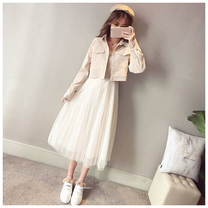 Fashion 2019 Women's 2 Piece Dress Apricot Blue Pink Color Two Piece Suit Spring Female Dresses
