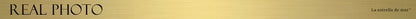 Vestido formatura2019 new high neck chiffon crystal back open A Line champagne prom gown long turkish evening dress custom