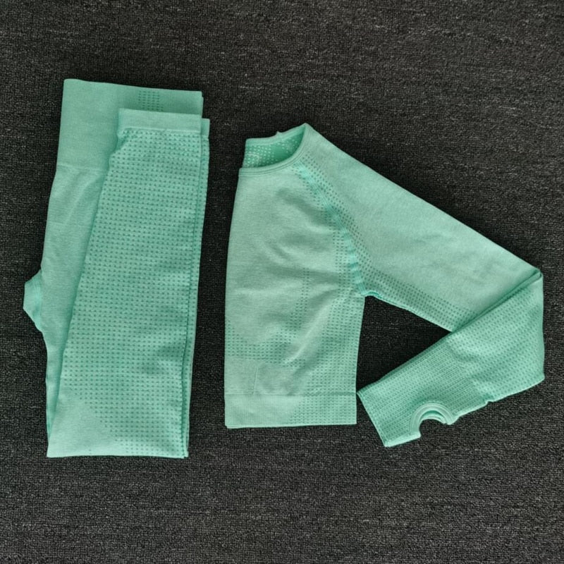 Women Seamless yoga set Fitness Sports Suits GYM Cloth Yoga Long Sleeve Shirts High Waist Running Leggings Workout Pants Shirts