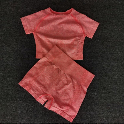 Women Seamless yoga set Fitness Sports Suits GYM Cloth Yoga Long Sleeve Shirts High Waist Running Leggings Workout Pants Shirts