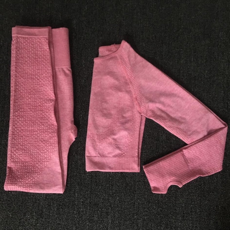 Women Seamless yoga set Fitness Sports Suits GYM Cloth Yoga Long Sleeve Shirts High Waist Running Leggings Workout Pants Shirts