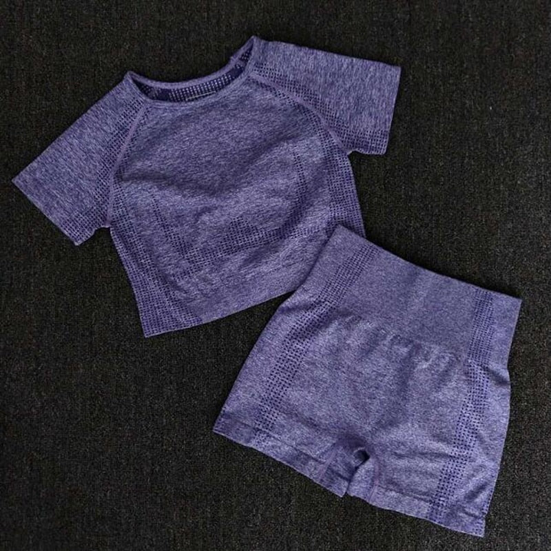 Women Seamless yoga set Fitness Sports Suits GYM Cloth Yoga Long Sleeve Shirts High Waist Running Leggings Workout Pants Shirts