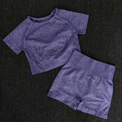 Women Seamless yoga set Fitness Sports Suits GYM Cloth Yoga Long Sleeve Shirts High Waist Running Leggings Workout Pants Shirts