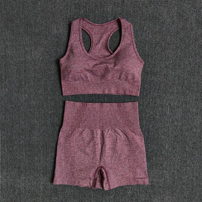 Women Seamless 2PCS Yoga Set Sports Bra High Waist Fitness Gym Shorts Gym Set Running Sportswear Workout Clothes Sports Suits