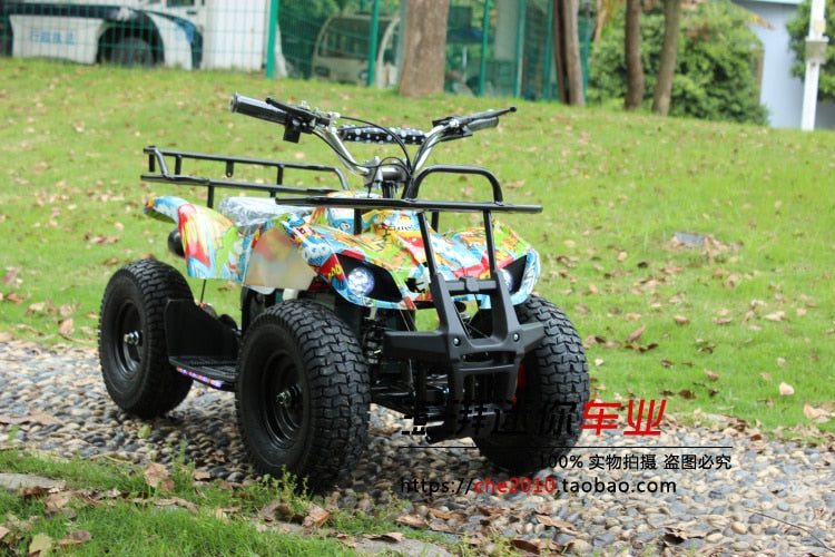 New Small Beach Off-road Non-slip Four-wheel Brushless Motor Double Disc Brake System Electric Go Karts