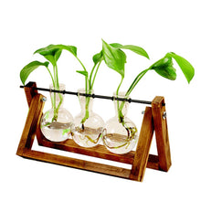 Load image into Gallery viewer, Terrarium Creative Hydroponic Plant Transparent Vase Wooden Frame vase decoratio Glass Tabletop Plant Bonsai Decor flower vase
