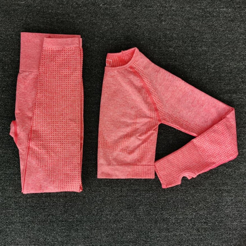 Women Seamless yoga set Fitness Sports Suits GYM Cloth Yoga Long Sleeve Shirts High Waist Running Leggings Workout Pants Shirts