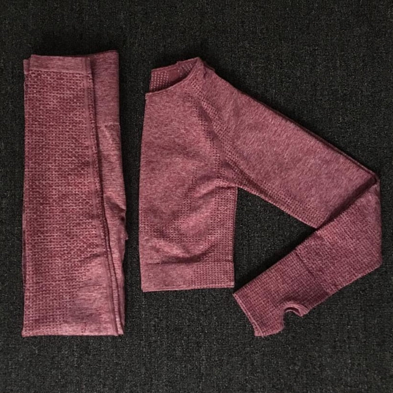 Women Seamless yoga set Fitness Sports Suits GYM Cloth Yoga Long Sleeve Shirts High Waist Running Leggings Workout Pants Shirts