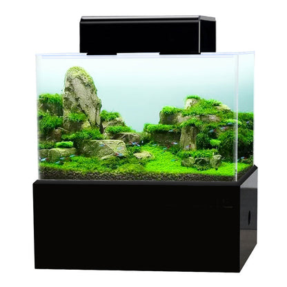 Mini aquarium fish tank dry wet separated bottom filter pump box tropical small fish tank with heating rod LED light