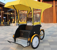 将图片加载到图库查看器，Electric Tricycle for Adults Rickshaw Vehicle Bicycle Pedicab Family Mobility Scooter Car with Sunscreen Cover Taxi
