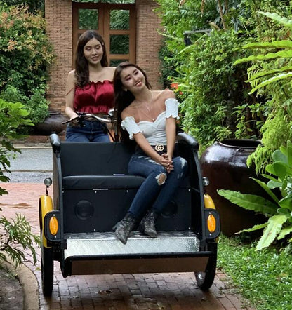 Electric Tricycle for Adults Rickshaw Vehicle Bicycle Pedicab Family Mobility Scooter Car with Sunscreen Cover Taxi
