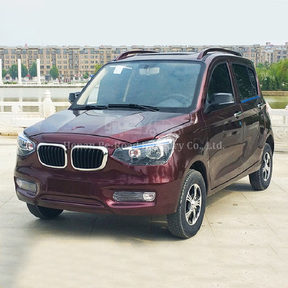 New Energy Vehicles Convenient Travel High Quality Adult Mini Affordable Electric Car