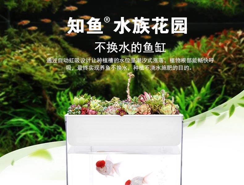 Novice Ultra Clear Plastic Fish Tank Aquaponic Betta Fish Bowls Desktop Ecological Aquarium for Indoor Decoration