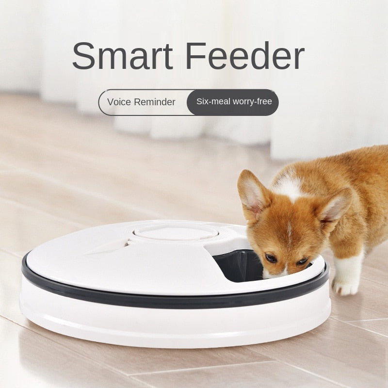 Pet Dog Intelligent Timing Feeder Six Grid Dog/Cat Automatic Timing Quantitative Feeder Pet Feeder