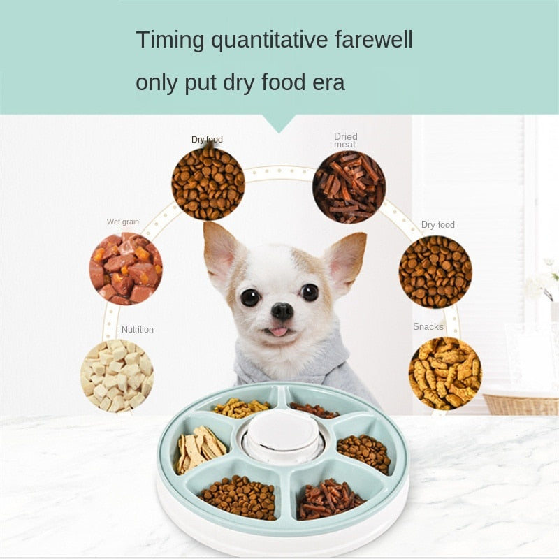 Pet Dog Intelligent Timing Feeder Six Grid Dog/Cat Automatic Timing Quantitative Feeder Pet Feeder