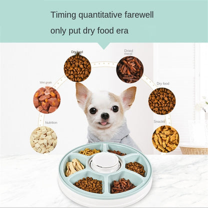 Pet Dog Intelligent Timing Feeder Six Grid Dog/Cat Automatic Timing Quantitative Feeder Pet Feeder