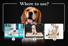 Load image into Gallery viewer, Reusable Diapers for Dog Urine Water Absorbency Diaper Sleeping Bed for Pet Dog Absorbent Mat Puppy Training Pad baby Diapers#1
