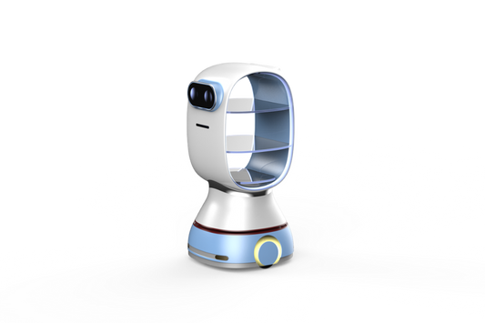 Smart Map built Restaurant waiter delivery Robot